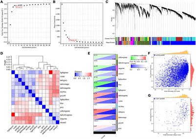 Identification of Immune Hub Genes Associated With Braak Stages in Alzheimer’s Disease and Their Correlation of Immune Infiltration